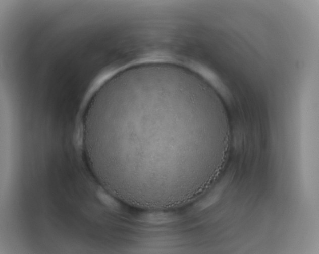 X0000114031366200910021430