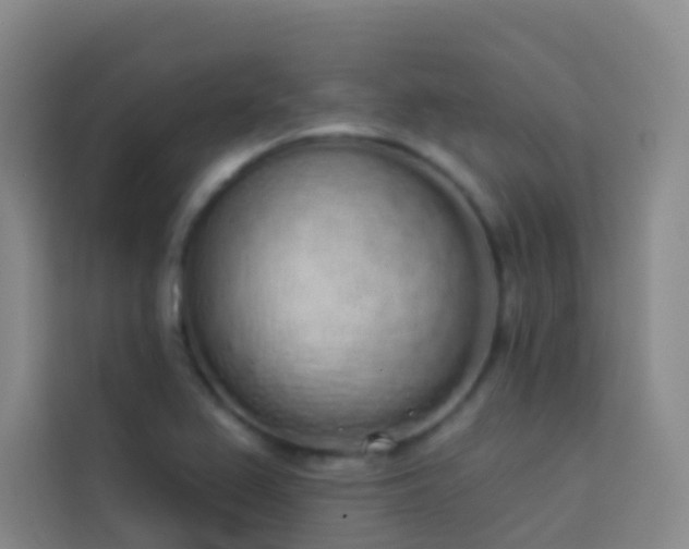 X0000114031367200910021430