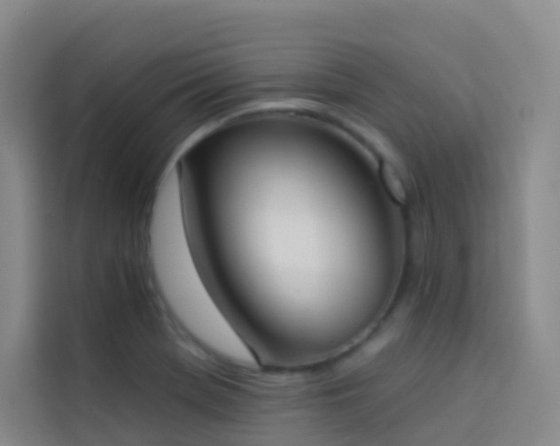 X0000114031369200910021430