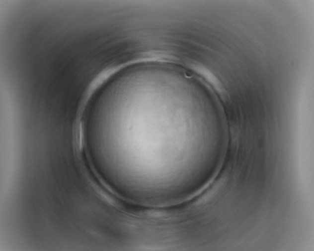 X0000114031371200910021430