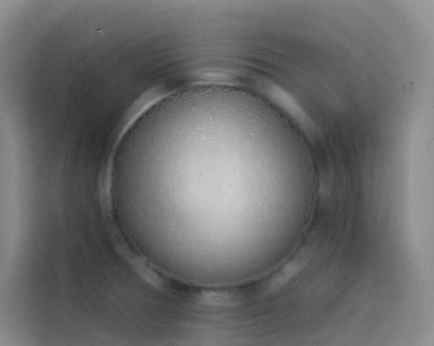 X0000114031378200910021430