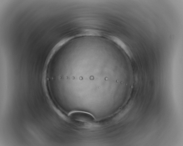 X0000114031379200910021430