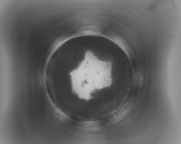 X0000114031381200910021430