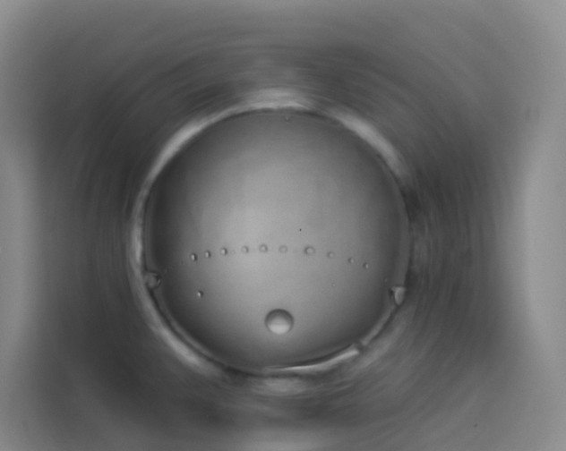 X0000114031383200910021430