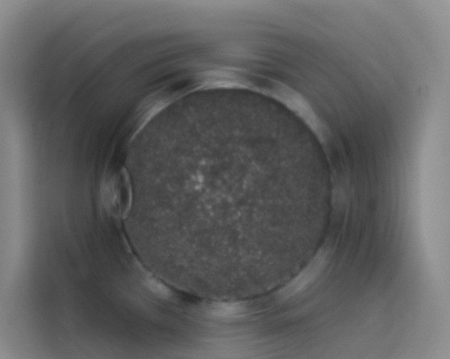 X0000114031385200910021430