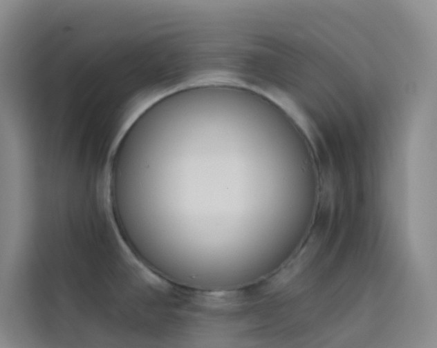 X0000114031390200910021430