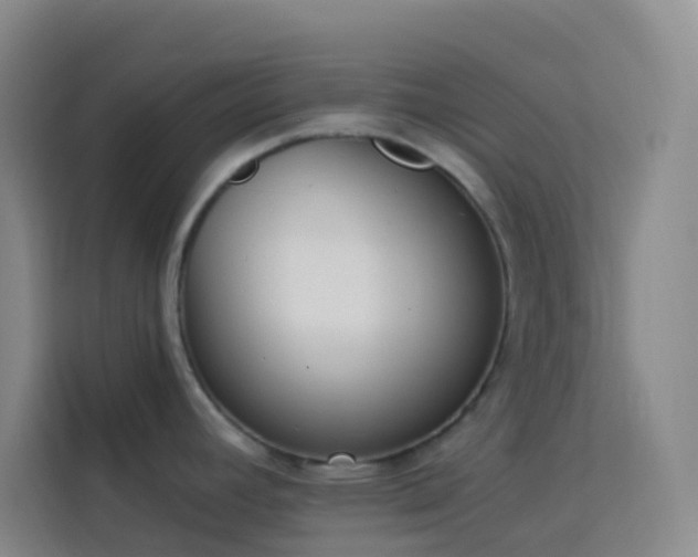 X0000114031392200910021430
