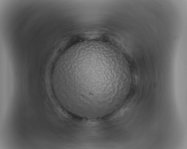 X0000114031393200910021429