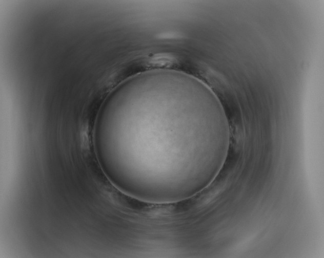 X0000114031394200910021429