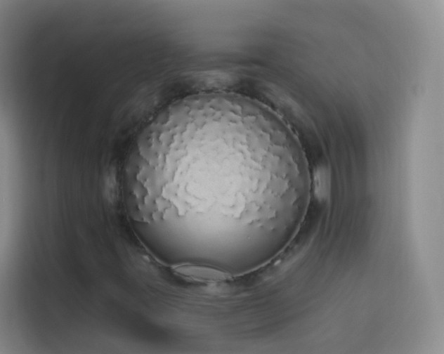 X0000114031395200910021429
