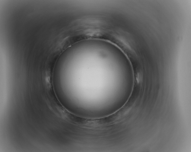 X0000114031396200910021429