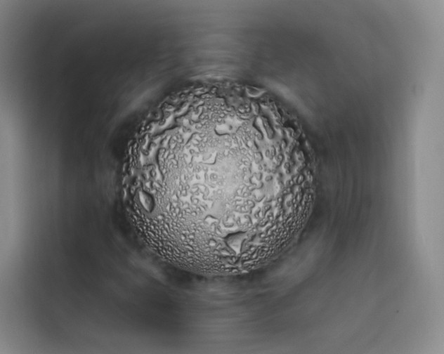 X0000114031399200910021429