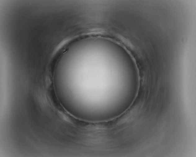 X0000114031400200910021429