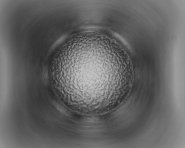X0000114031403200910021429