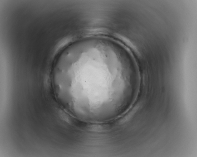 X0000114031405200910021429
