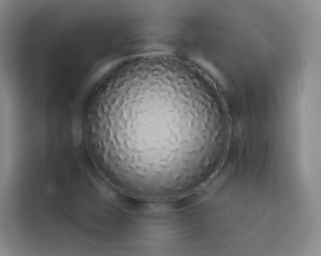 X0000114031407200910021429