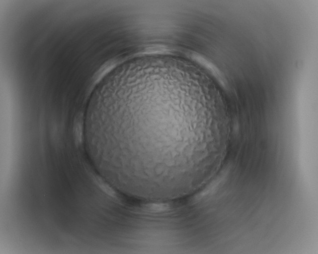 X0000114031409200910021429