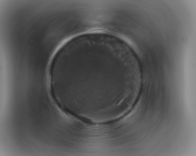 X0000114031414200910021429