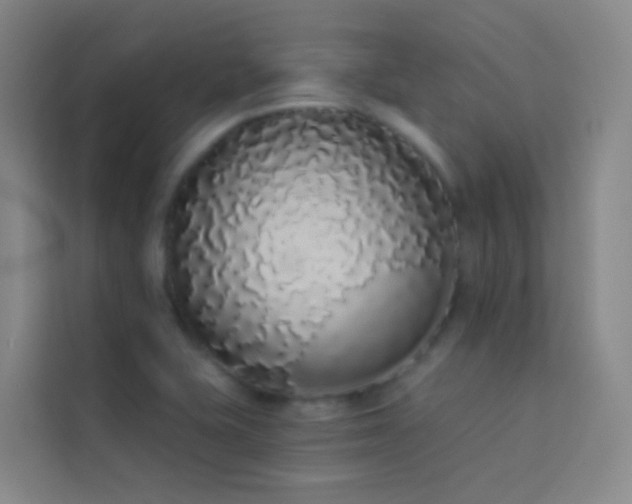 X0000114031415200910021429