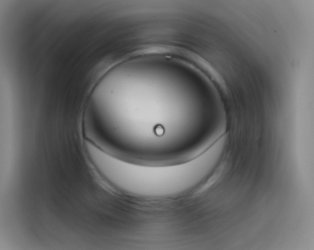 X0000114031417200910021429