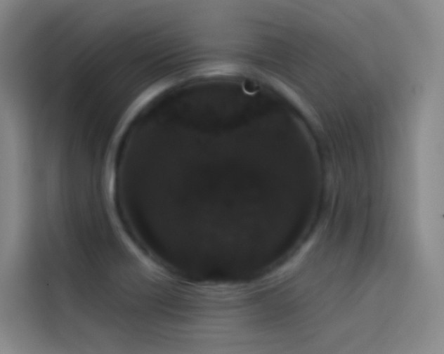 X0000114031418200910021429