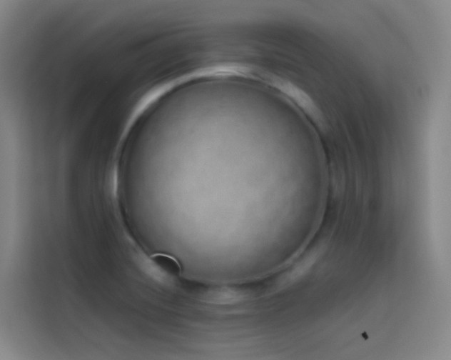X0000114031420200910021429