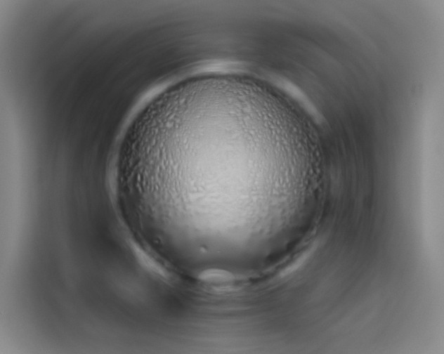 X0000114031421200910021429