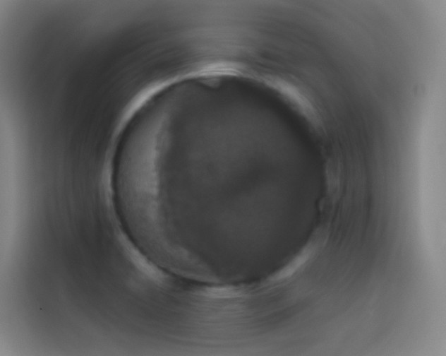 X0000114031422200910021429