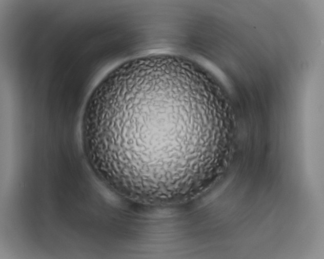 X0000114031423200910021429