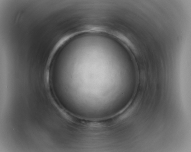 X0000114031424200910021429