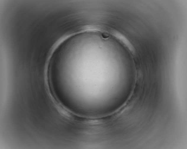 X0000114031427200910021429