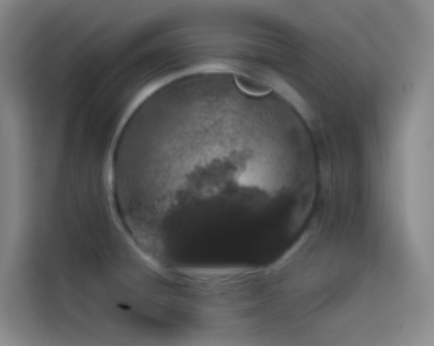 X0000114031428200910021429