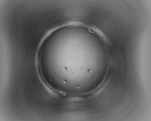 X0000114031430200910021429