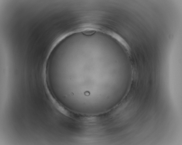 X0000114031431200910021429