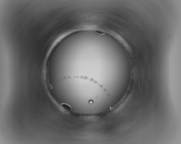 X0000114031432200910021429