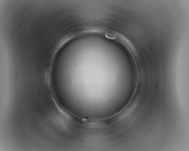X0000114031433200910021429