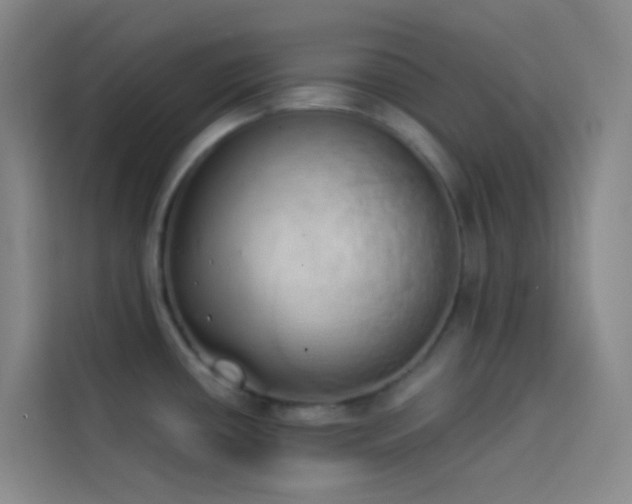 X0000114031434200910021430