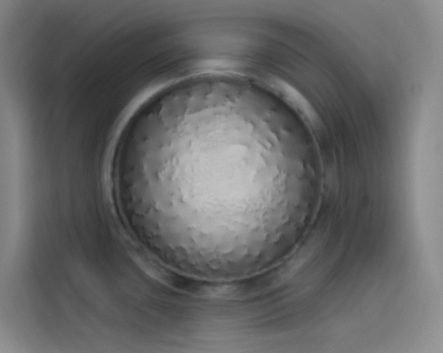 X0000114031435200910021430