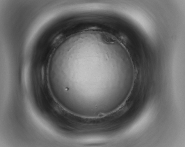 X0000114031439200910021430