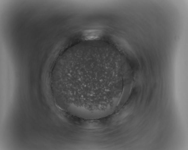 X0000114031441200910021429