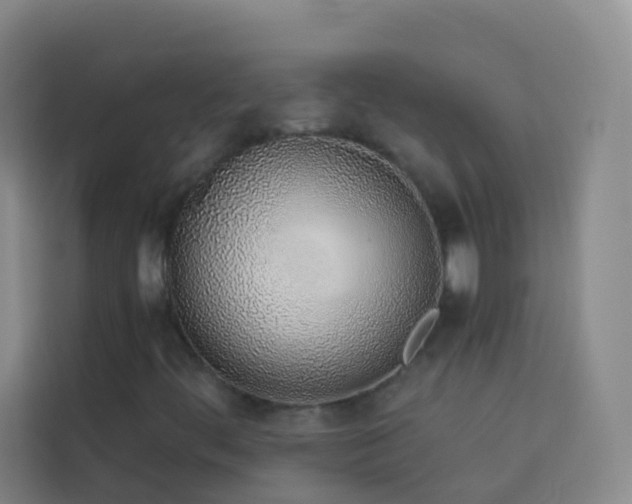 X0000114031444200910021429