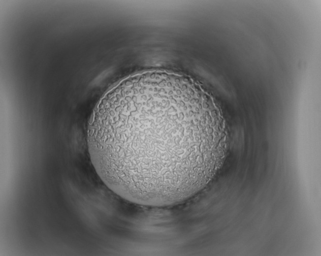 X0000114031446200910021429