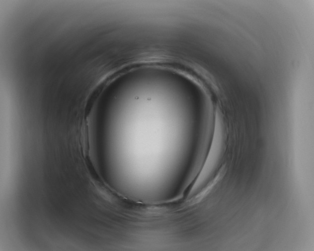 X0000114031449200910021429