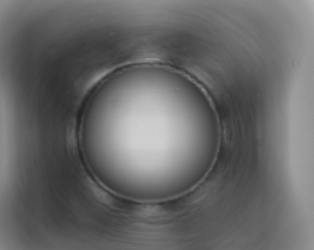 X0000114031452200910021429