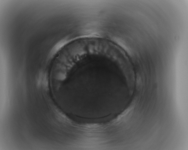 X0000114031455200910021429