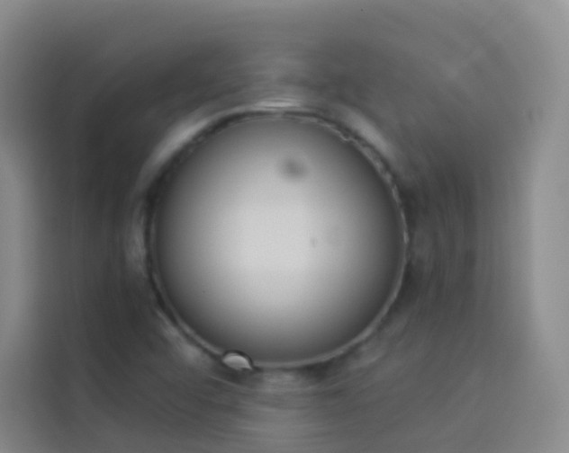 X0000114031456200910021429