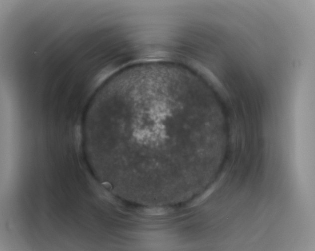 X0000114031457200910021429