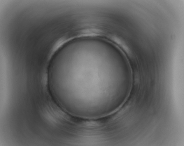 X0000114031459200910021429