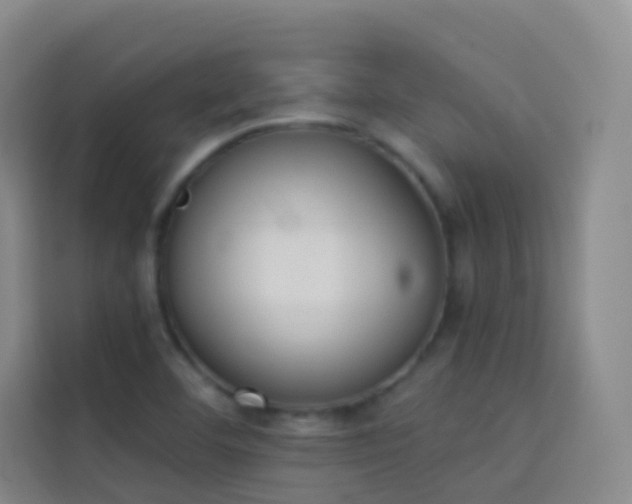 X0000114031460200910021429