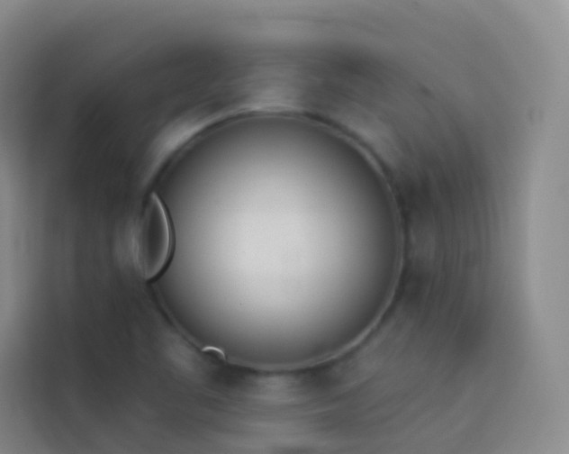 X0000114031461200910021429